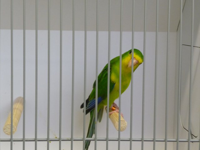 p1040733
